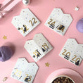 Load image into Gallery viewer, Battersea Cats DIY Advent Calendar