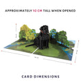 Load image into Gallery viewer, Cardology Black Labrador Pop Up Card - image of dimensions whch are 30cm (l) x 20cm (w) x 10cm (h)