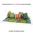 Load image into Gallery viewer, Cardology Golden Retriever Pop Up Card - card dimensions image which are 30cm (l) x 20cm (w) x 10cm (h) approximately