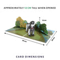 Load image into Gallery viewer, English Cocker Spaniel Pop Up Card by Cardology - dimensions image of 3d card