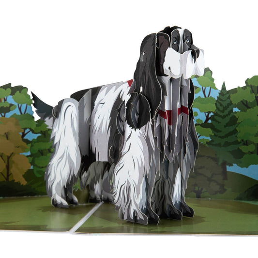 English Cocker Spaniel Pop Up Card by Cardology - close up image of 3D pop up