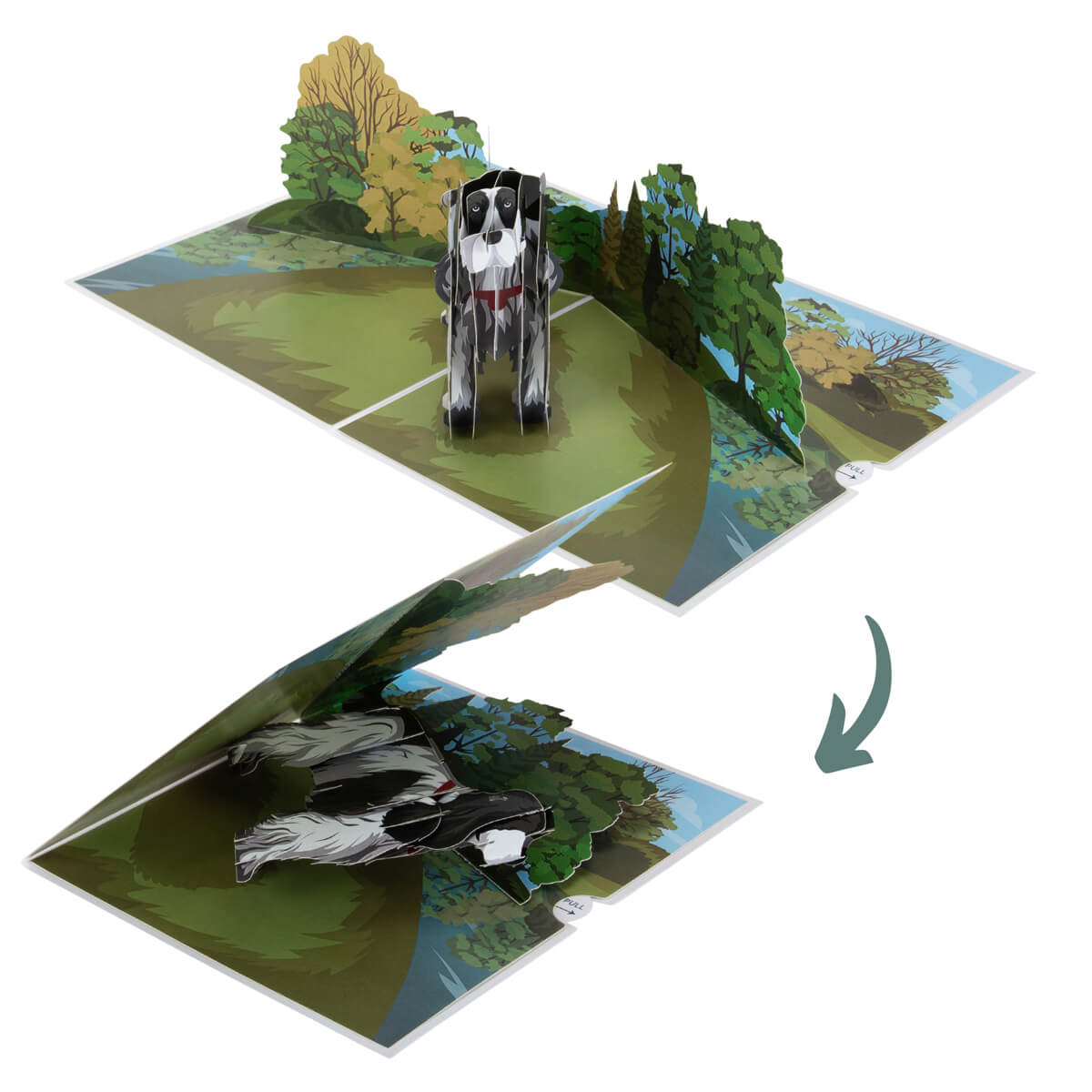 English Cocker Spaniel Pop Up Card by Cardology - image of 3d card closing