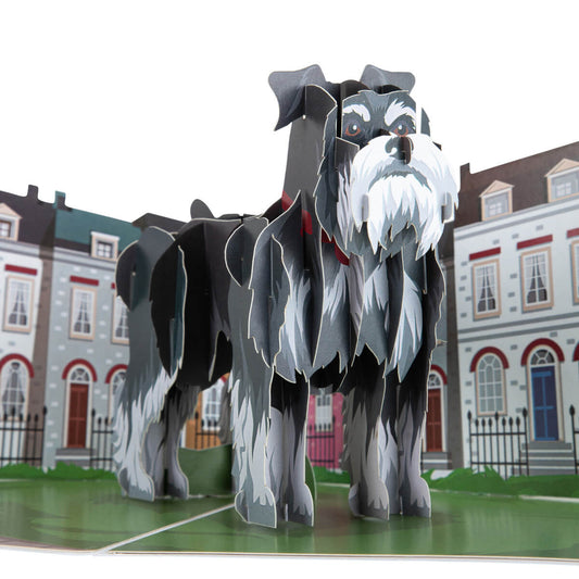 miniature schnauzer pop up card by cardology - close up image