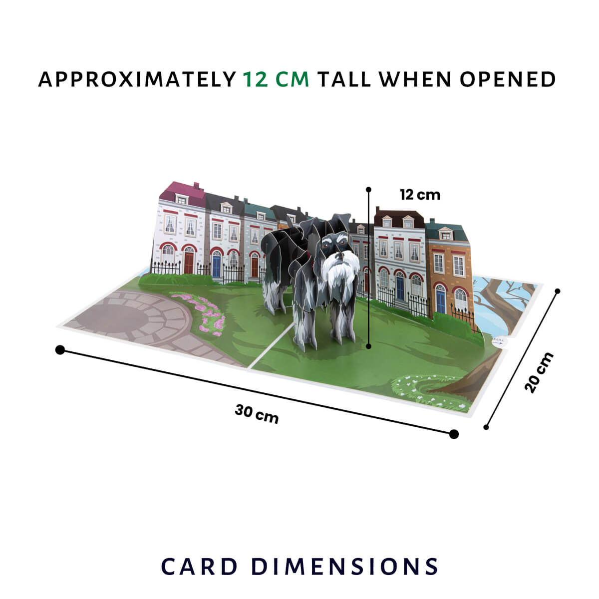 miniature schnauzer pop up card by cardology - image of card dimensions when open