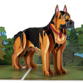 Load image into Gallery viewer, German Shepherd Pop Up Card For Birthday Card by Cardology - close up image of alsatian pop up card