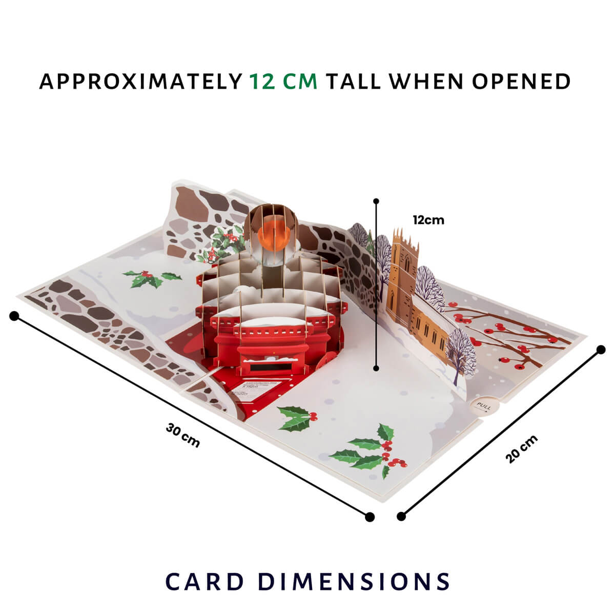 Cardology Robin Pop Up Card for Christmas - image of card dimensions when open, which are 30cm (l) x 20cm (w) and approximately 12cm (h)