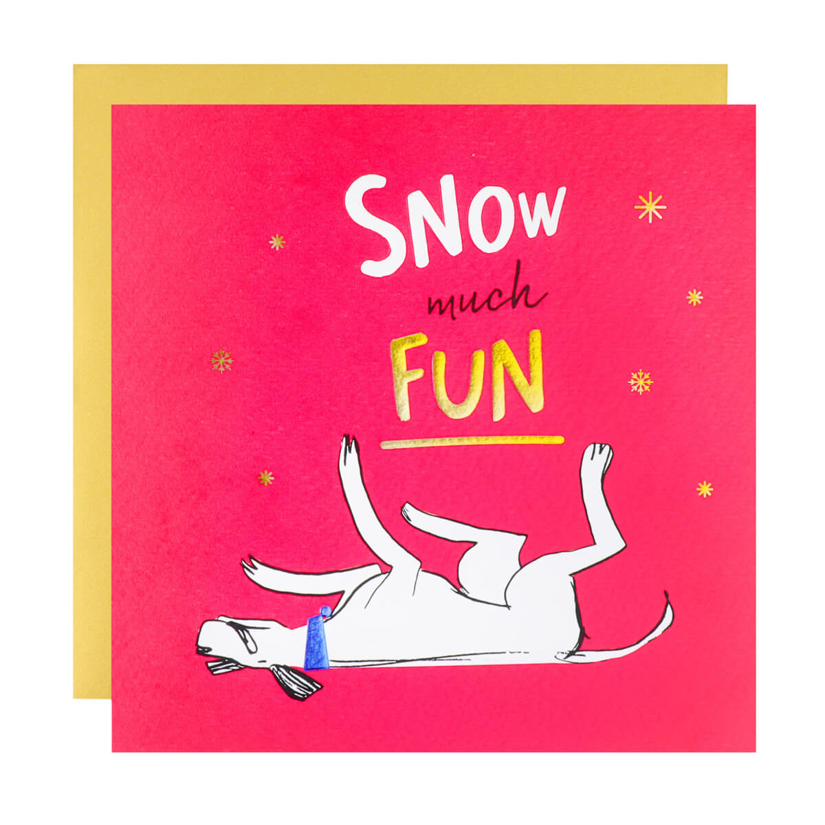 Snow Much Fun Card