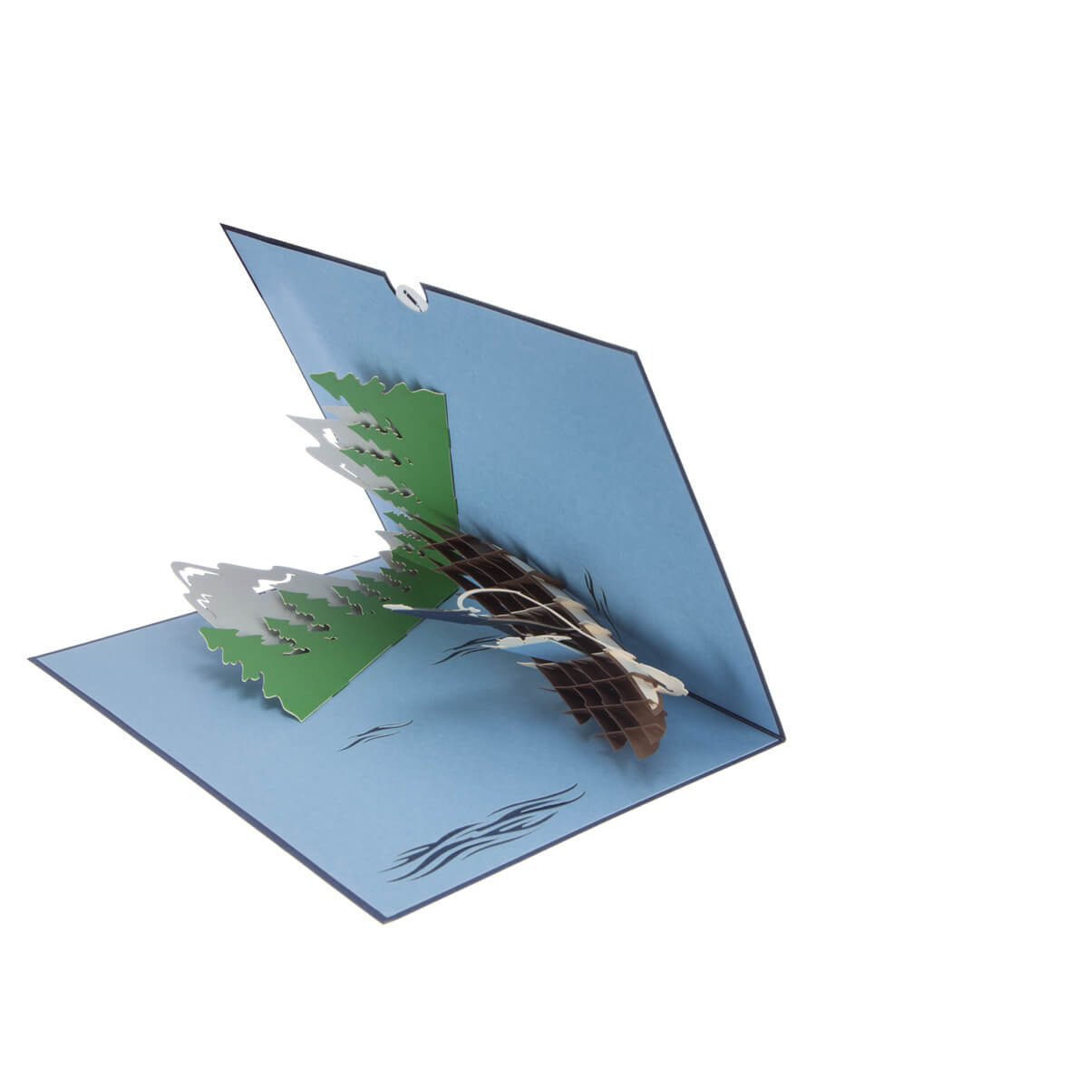 Fishing Pop Up Card