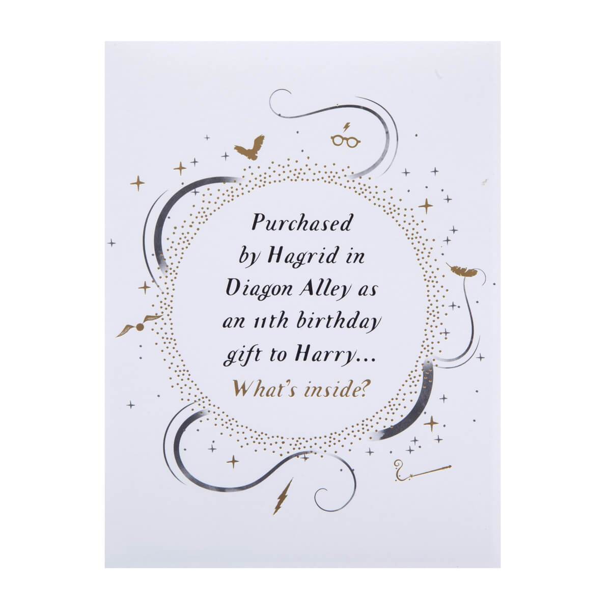 Harry Potter Hedwig 3D Card Cover which reads " Purchased by Hagrid on Diagon Alley as an 11th birthday gift to Harry...what's inside?"