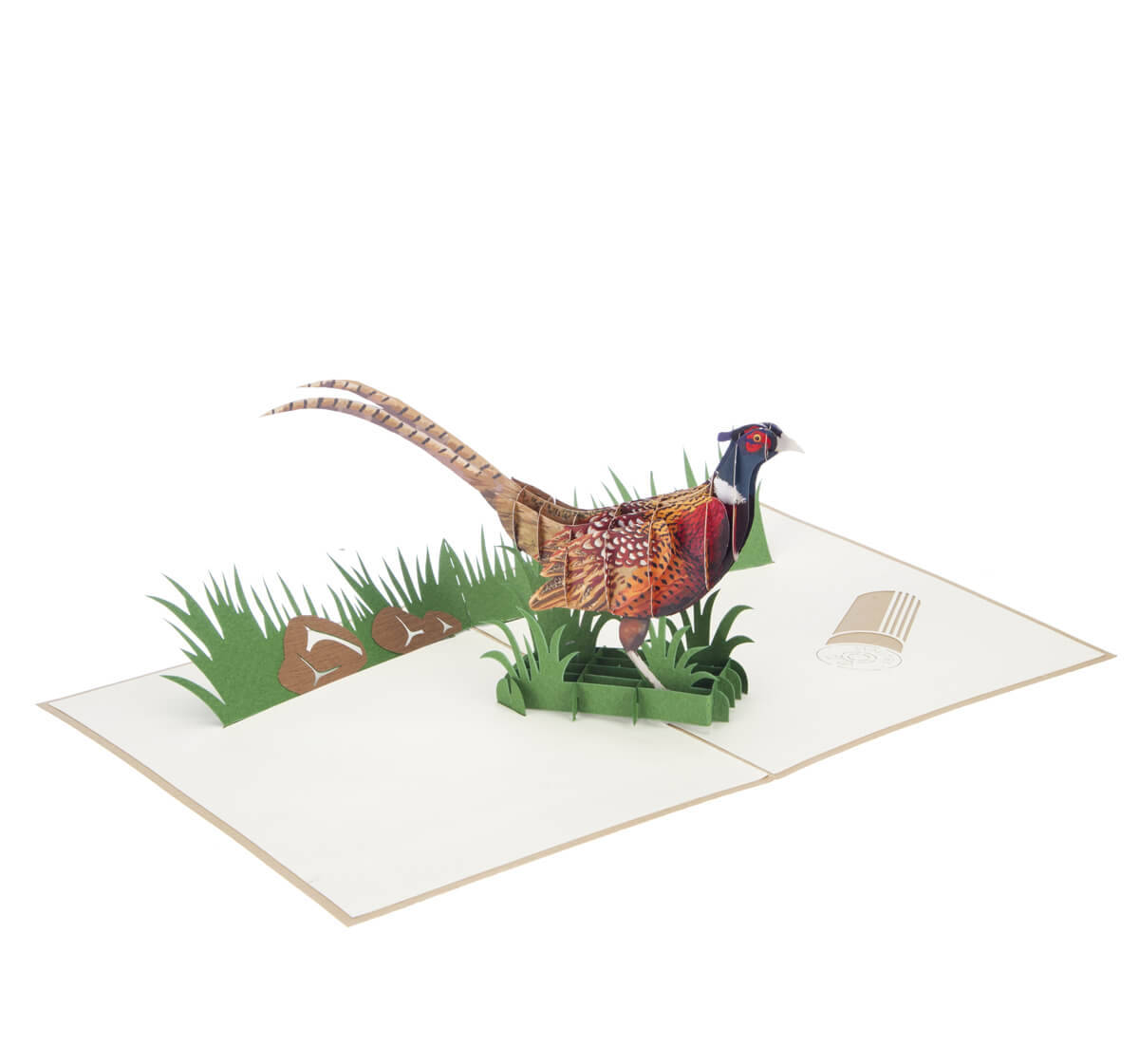 Phesant Shooting Pop Up Card
