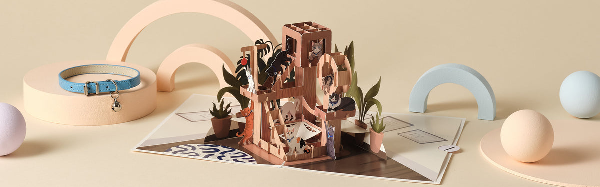 Beautiful pop-up card showcase
