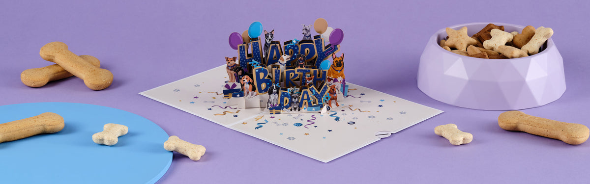 Beautiful pop-up card showcase