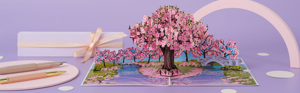 Beautiful pop-up card showcase