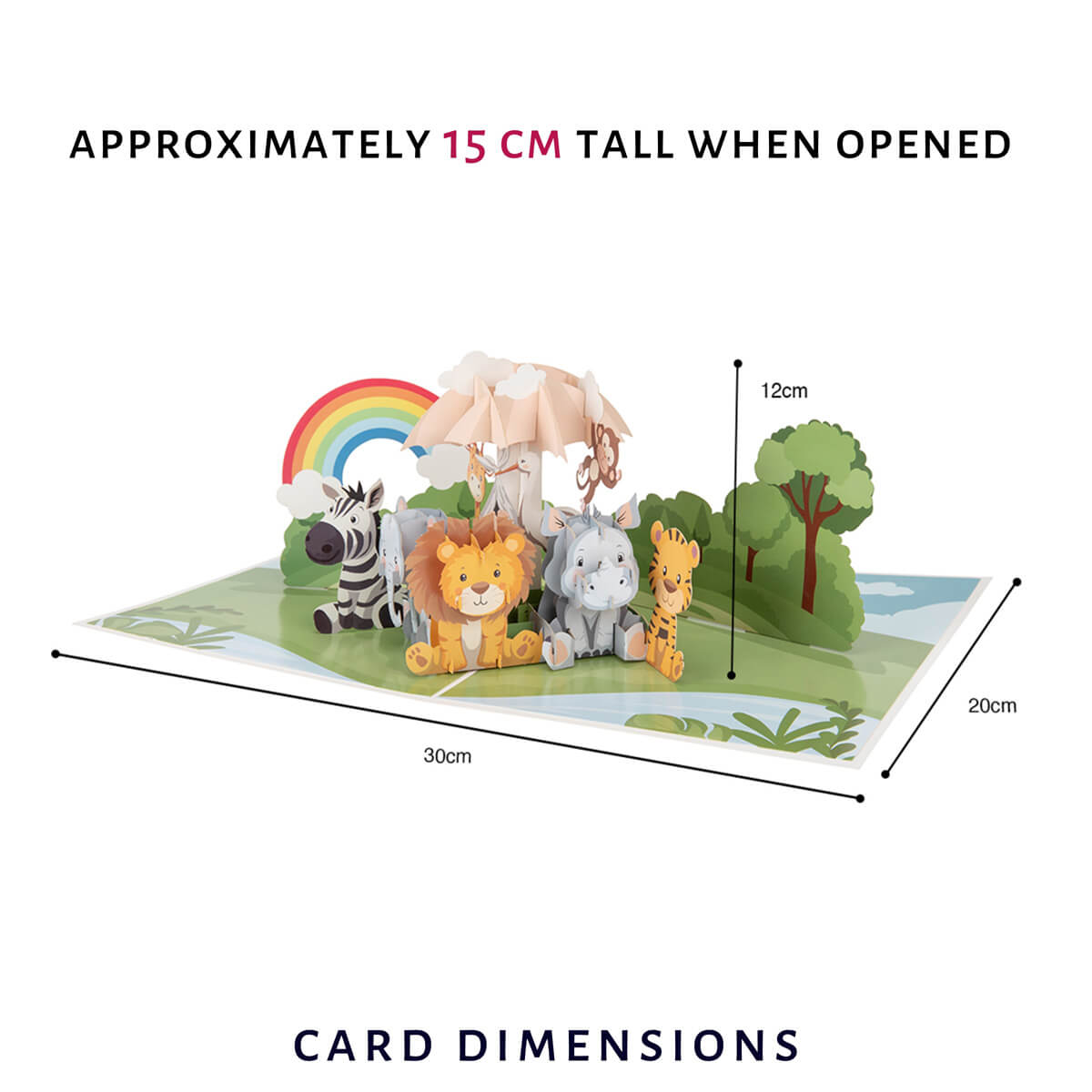 New Arrival Pop Up Card dimensions