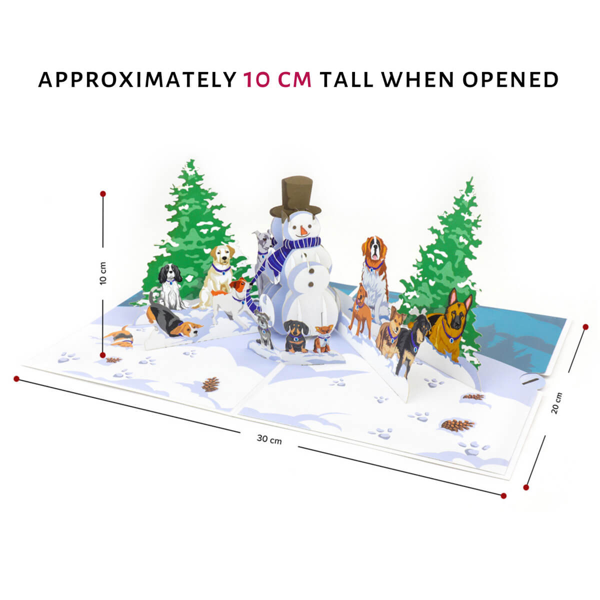 Battersea Dogs Christmas Card dimensions
