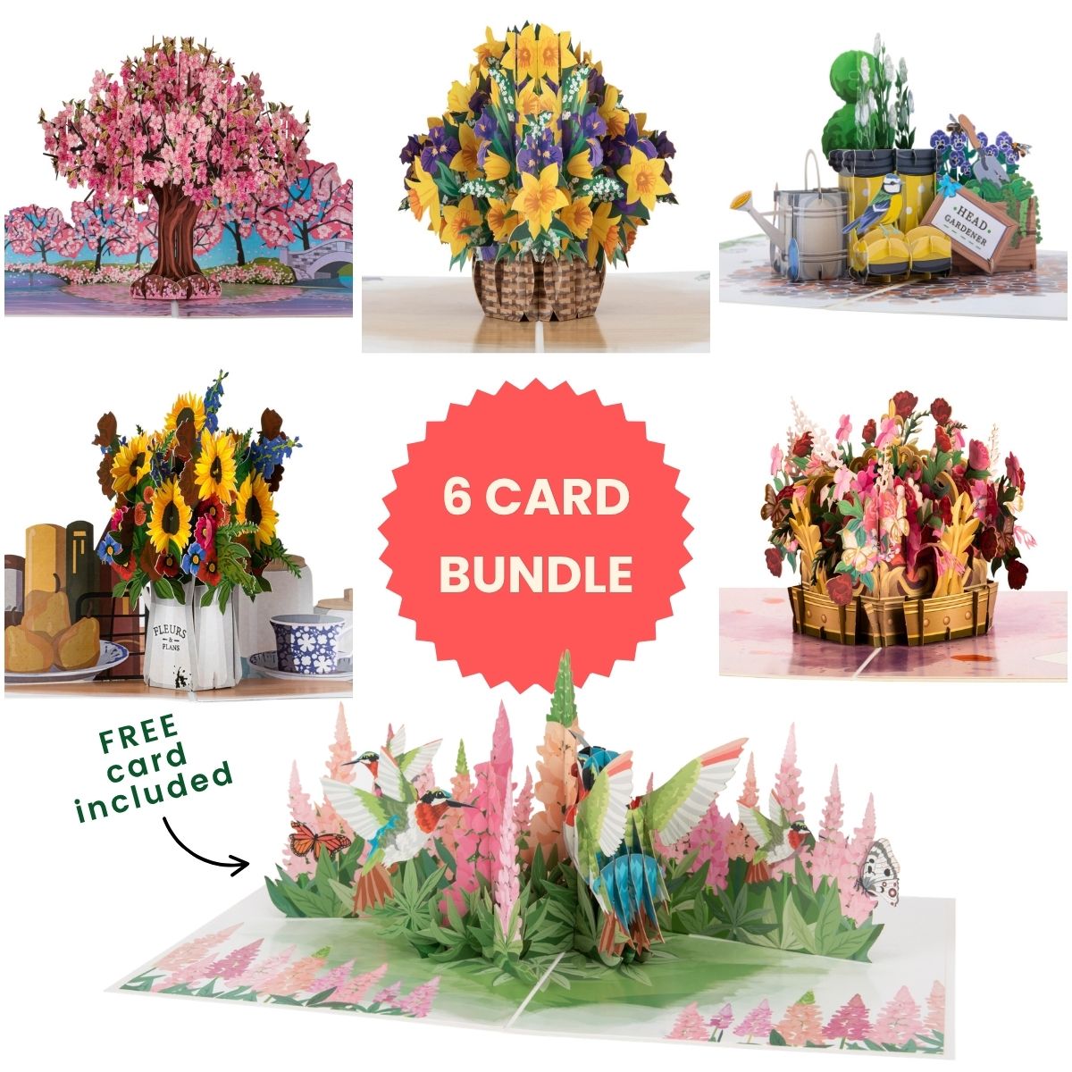 6 pop up card bundle pack of floral designs