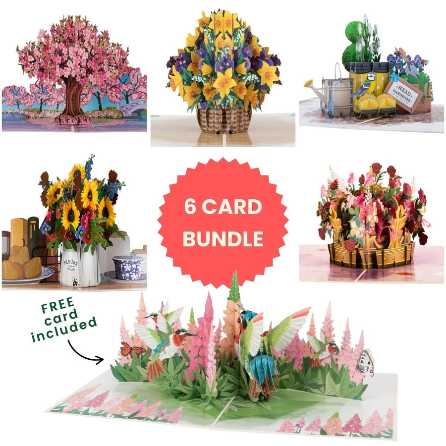 6 pop up card bundle pack of floral designs