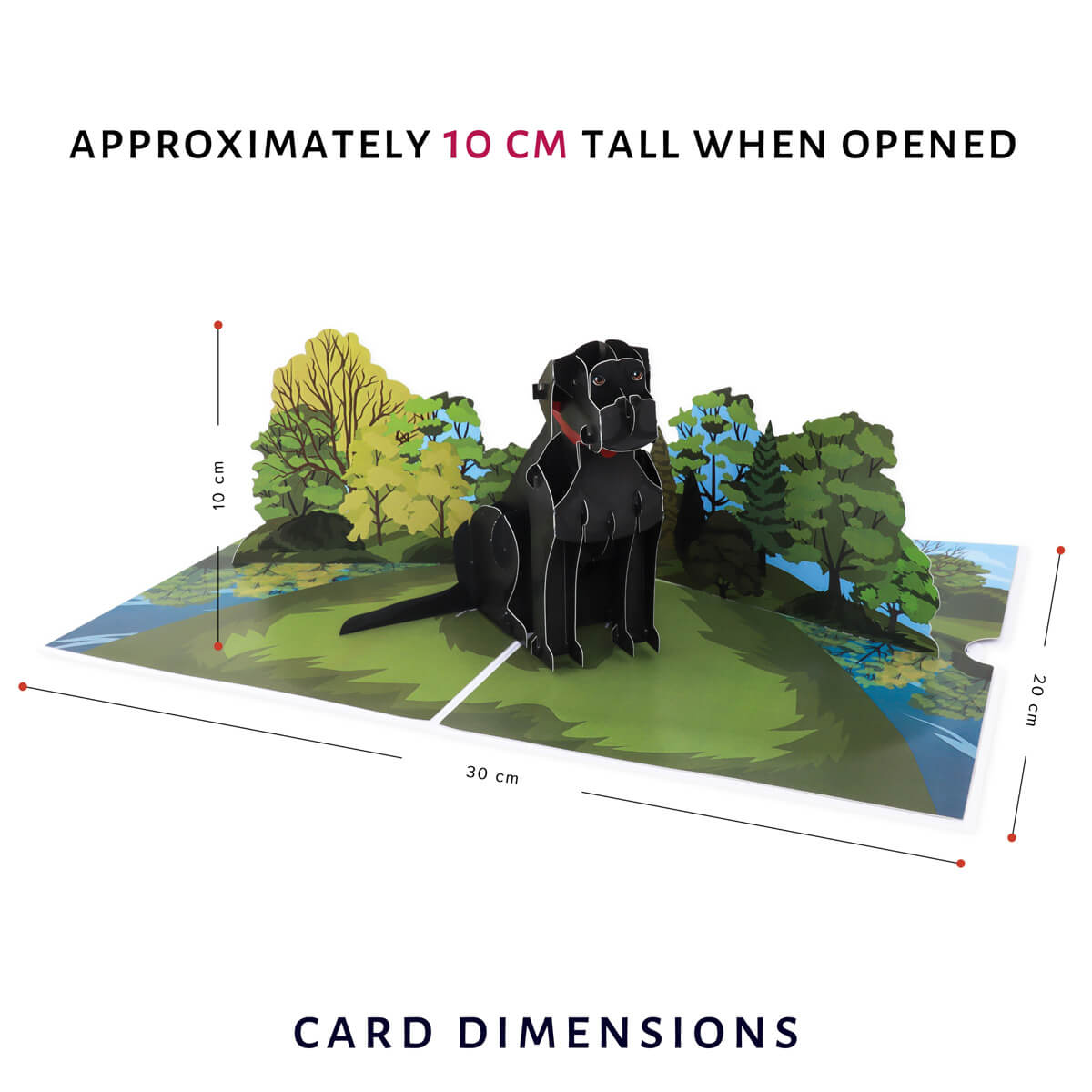 Cardology Black Labrador Pop Up Card - image of dimensions whch are 30cm (l) x 20cm (w) x 10cm (h)