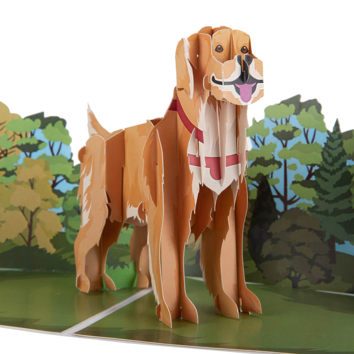 Cardology Golden Retriever Pop Up Card - close up image of pop up