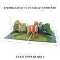 Load image into Gallery viewer, Cardology Golden Retriever Pop Up Card - card dimensions image which are 30cm (l) x 20cm (w) x 10cm (h) approximately
