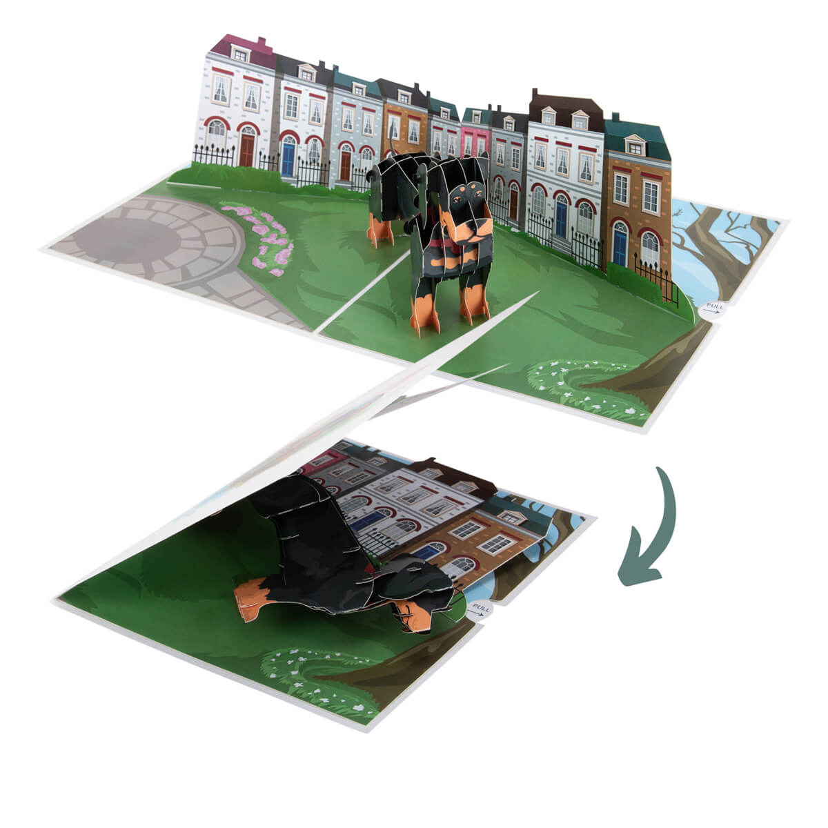 Cardology - Dachshund Pop Up Card for Birthdays - Sausage Dog 3D Card