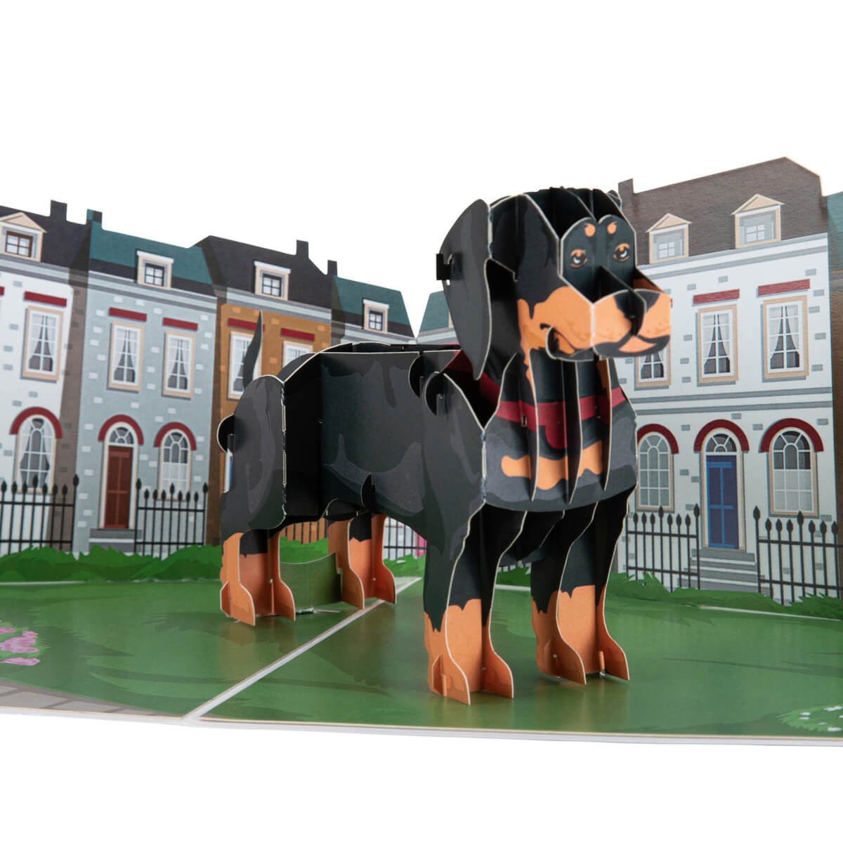 dachshund pop up card by cardology - close up image of sausage dog greeting card