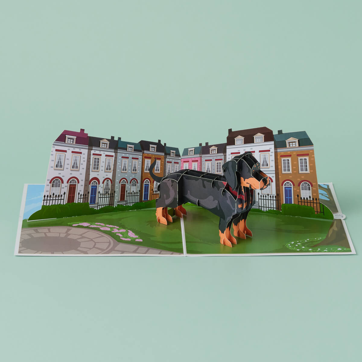 dachshund pop up card by cardology - lifestyle close up image of sausage dog 3d greeting card