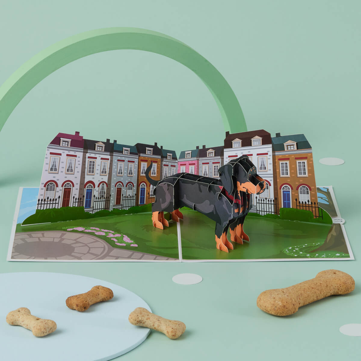 dachshund pop up card by cardology - lifestyle image of sausage dog card 3D