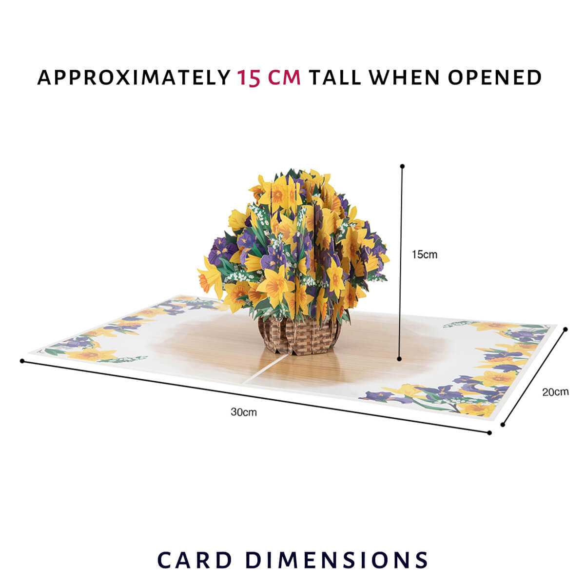 Cardology daffodils 3d greeting card - image of dimensions - 30cm (w) x 20cm (l) and 15cm (h) when open