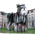 Miniature Schnauzer Pop Up Card