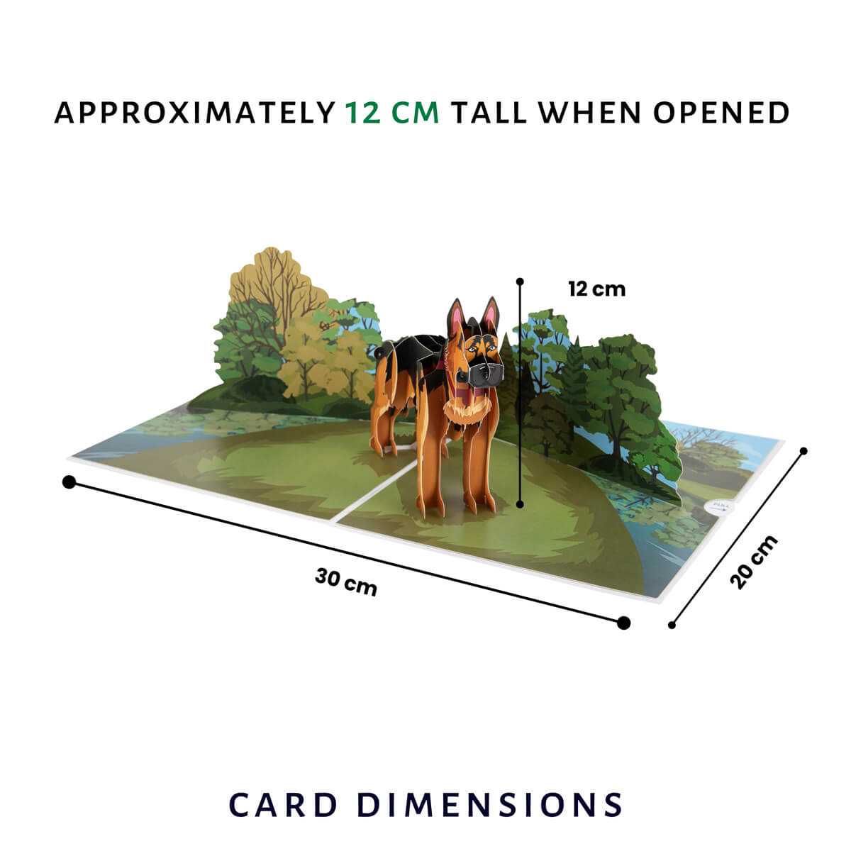 German Shepherd Pop Up Card For Birthday Card by Cardology - dimensions image of 3D card when open which is 30cm (l) x 20cm (w) x approximately 12cm (h)