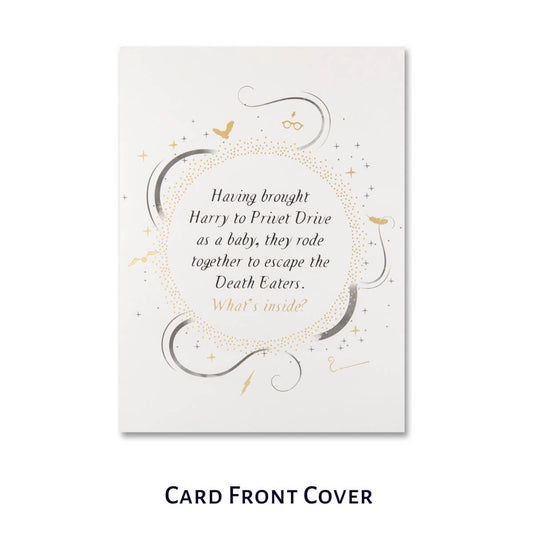 Harry Potter Hagrid Pop Up Card by Cardology - Happee Birthdae 3D Card - image of card front cover which has a riddle in gold foiled text 'Having brought Harry to Privet Drive as a baby, they rode together to escape the Death Eaters. What's Inside?'