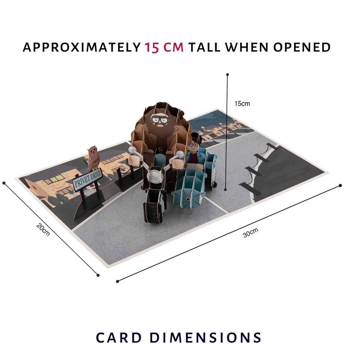 Harry Potter Hagrid Pop Up Card by Cardology - Happee Birthdae 3D Card - image showing dimensions which are 30cm(l) x 20cm(w) x 15cm(h)