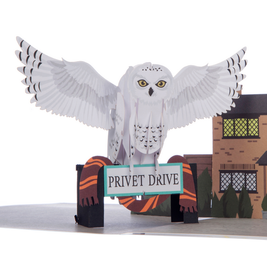 Harry Potter Hedwig Pop Up Card