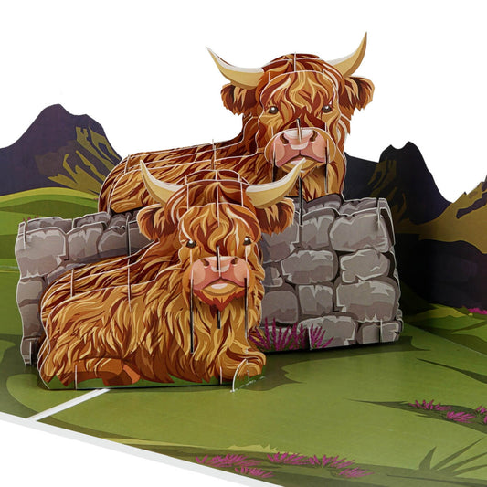 Image of Highland Cow Pop Up Card Open fully on a white background