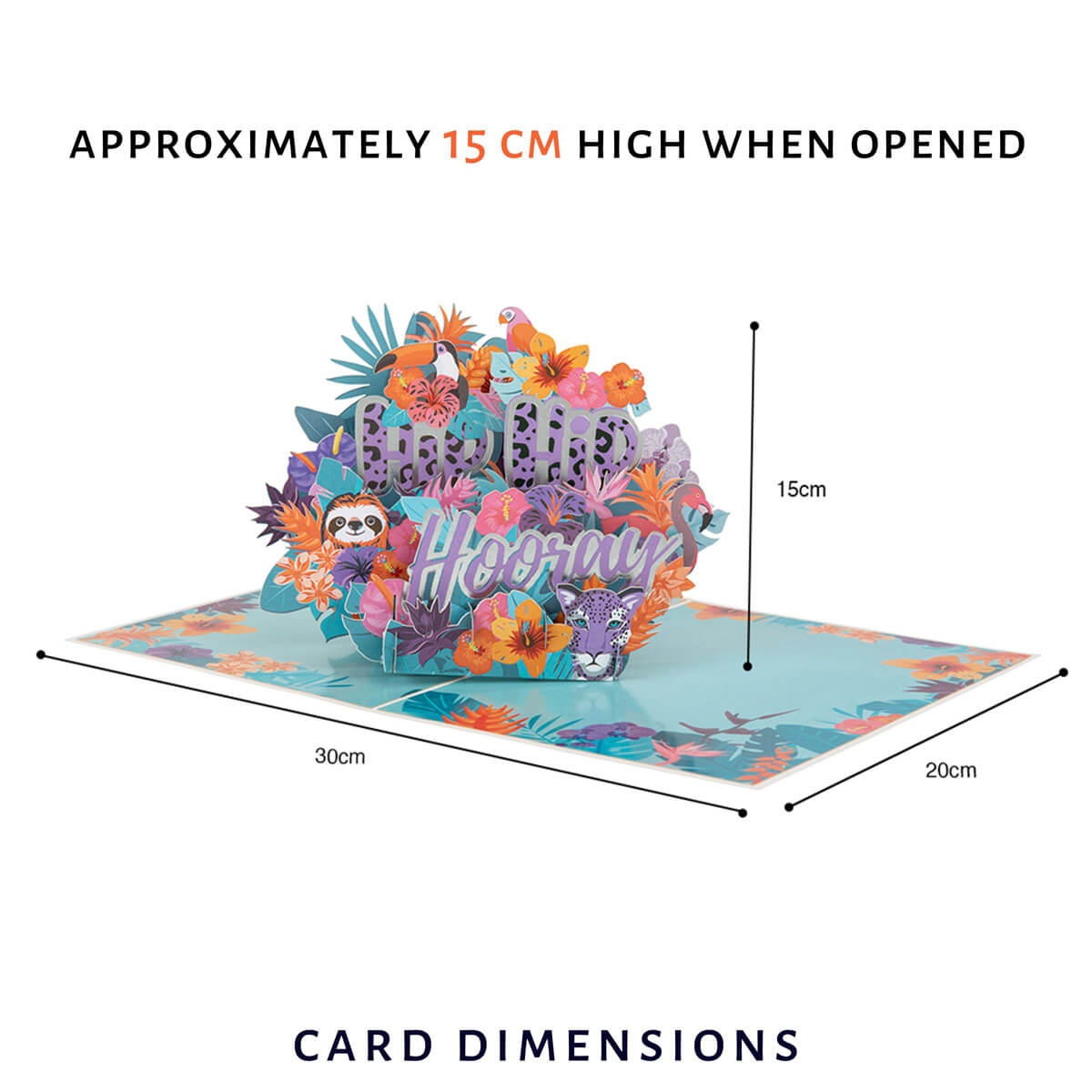 Hip Hip Hooray Congratulations Card - dimensions image