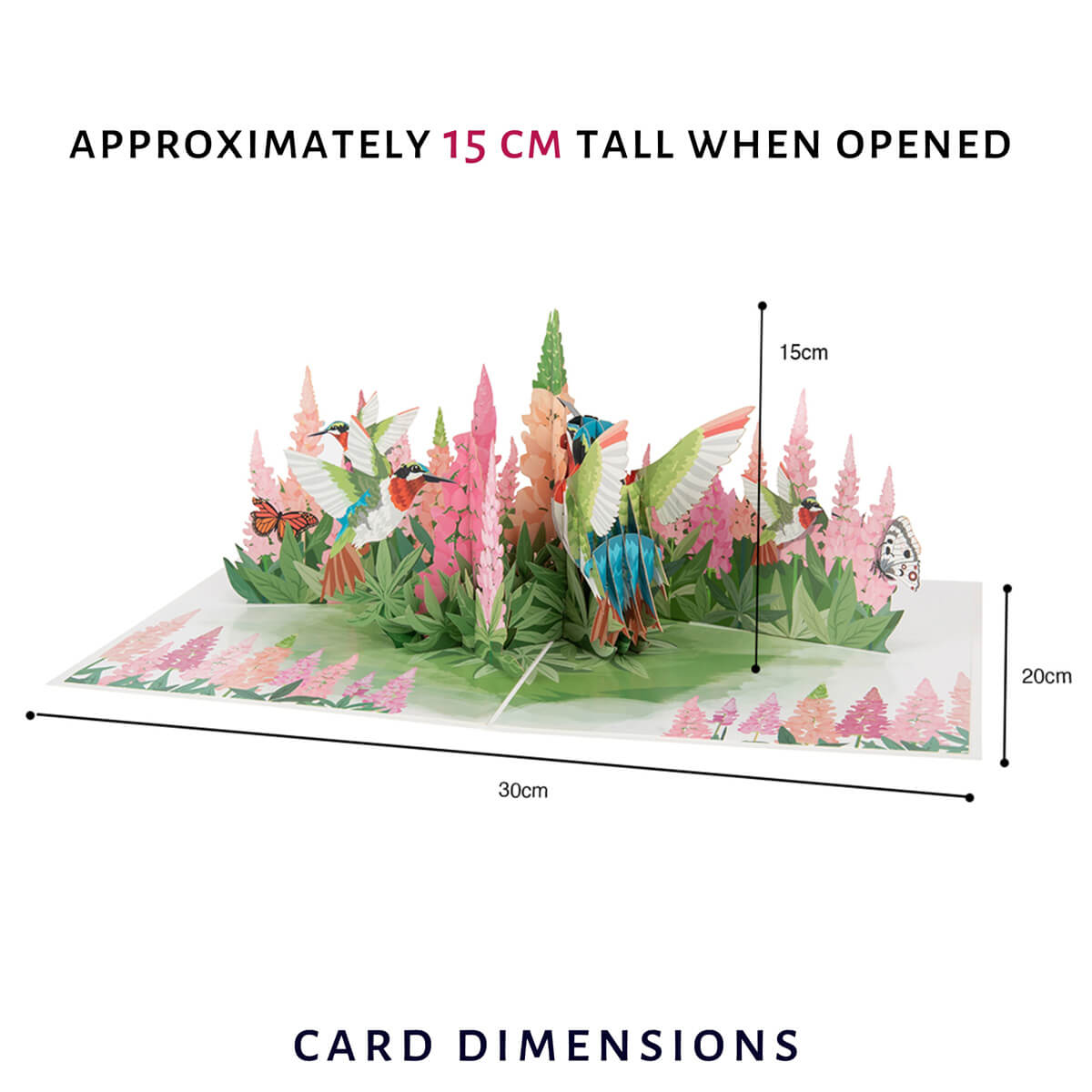 Cardology Hummingbirds 3D Greeting Card for Mothers Day and Birthday Cards for Her - image of dimensions which are 30cm (l) x 20cm (w) x 15cm (h) when card is open