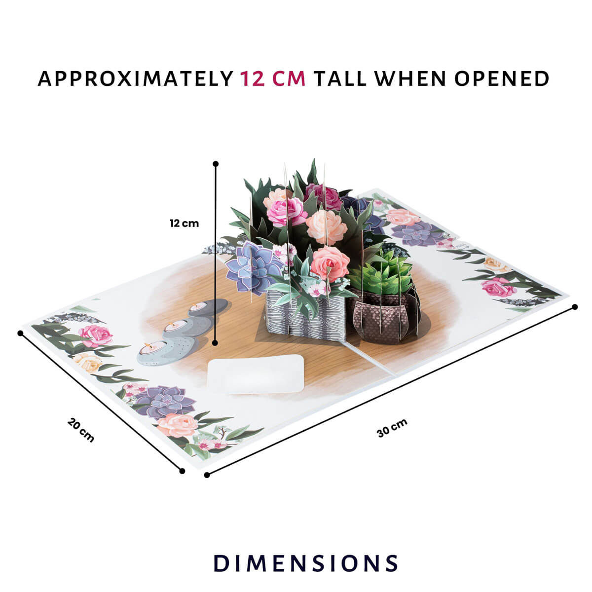 Peonies Pop Up Card by Cardology which is perfect for Birthdays, Mothers Day, Anniversaries or even New Home Congratulations. Image shows dimensions which when open is 30cm (l) x 20cm (w) and the pop up is approximately 12cm (h)