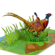Pheasant Shooting Pop Up Card