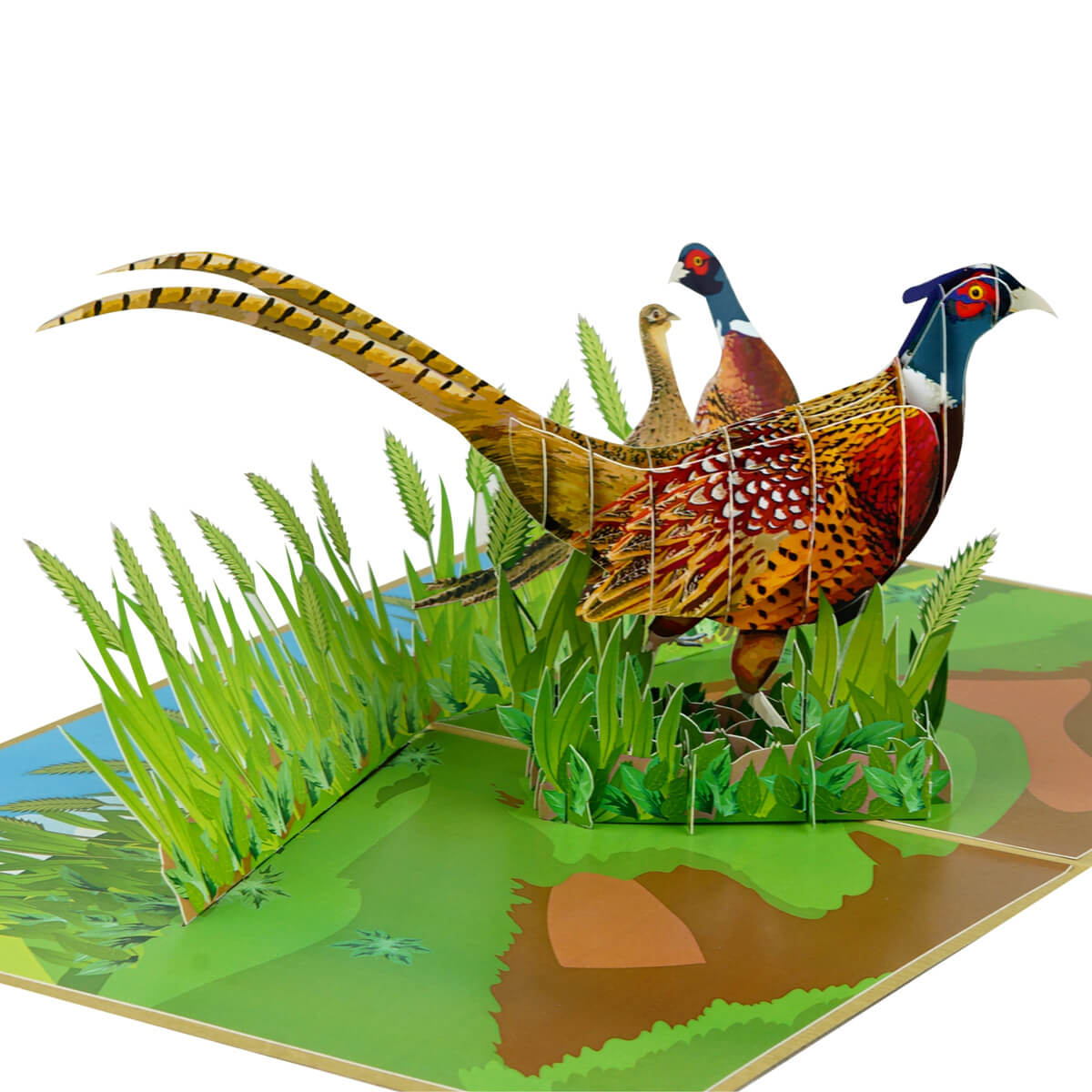 Pheasant Shooting Pop Up Card