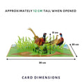 Load image into Gallery viewer, Pheasant Pop-up card dimensions on a white background
