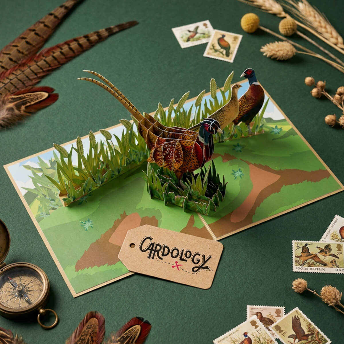 Pheasant Pop-up card on a green backdrop with props
