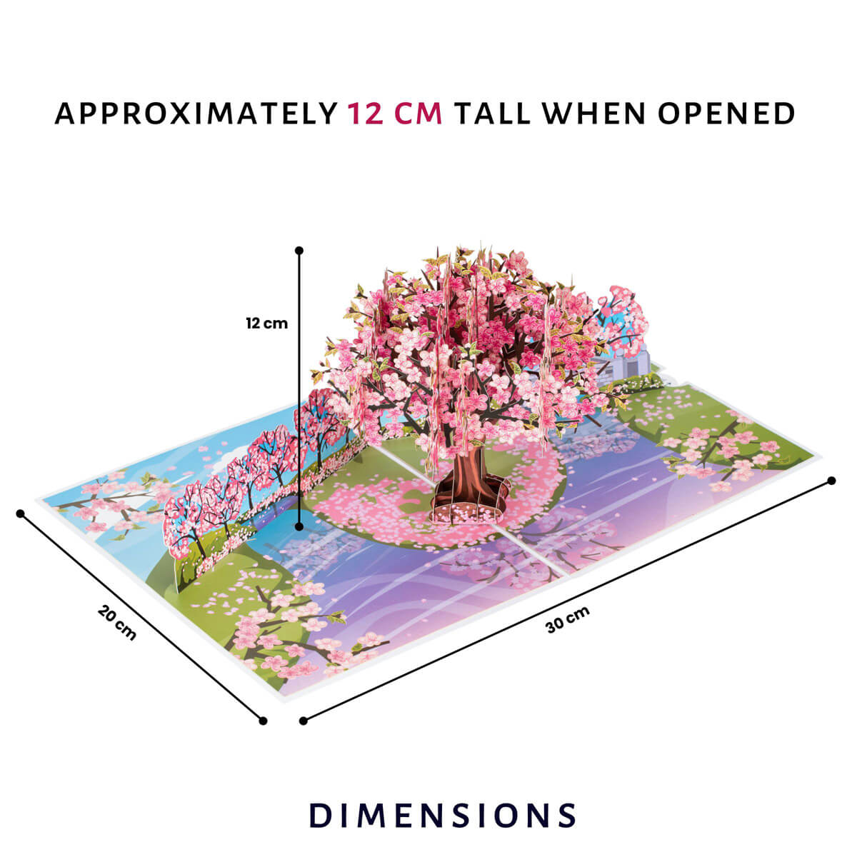 Pink Cherryblossom Tree Pop Up Card perfect for Birthday cards, Mothers Day Cards, Anniversary Cards, Valentines Day and more.  This image shows the dimensions of the card which when opened are 30cm (l) x 20cm (w) and approximately 12cm (h)