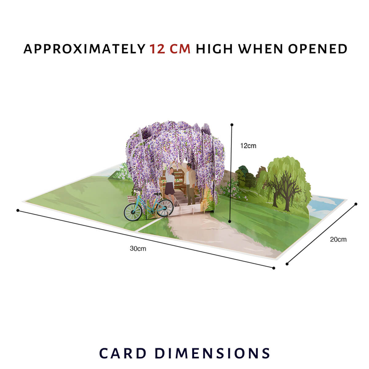 Wisteria 3D Pop Up Card for first anniversary gift and Valentines Day - dimensions image