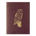 Load image into Gallery viewer, Close up image of Barn Owl Pop Up Card brown and yellow cover
