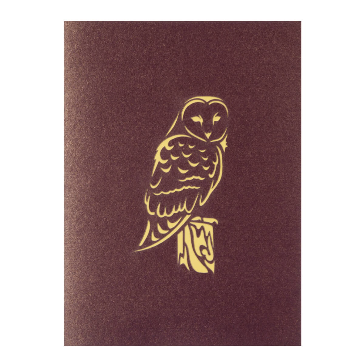 Close up image of Barn Owl Pop Up Card brown and yellow cover