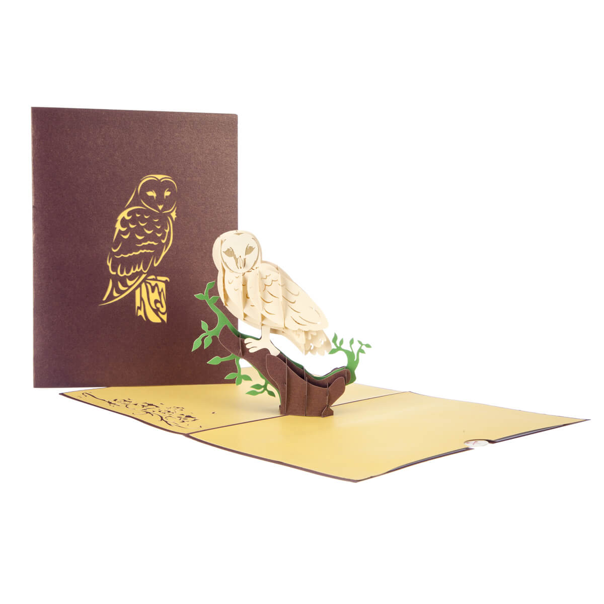 Image of barn owl pop up card open with cover behind