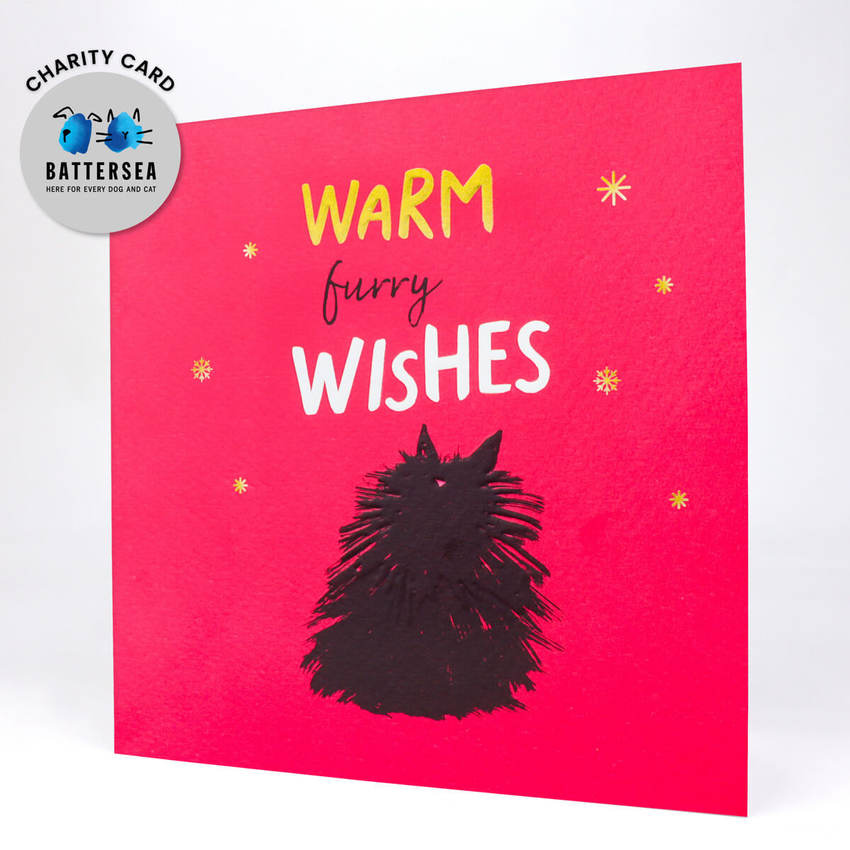 Warm Furry Wishes Cat Card