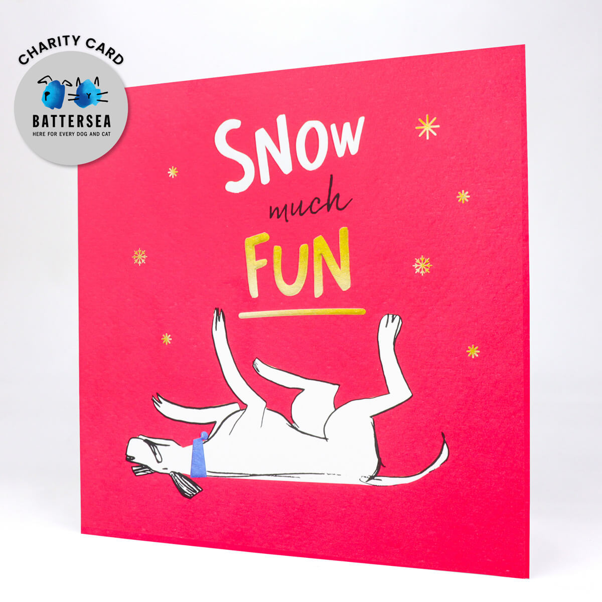 Snow Much Fun Card