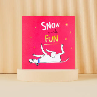 Snow Much Fun Card